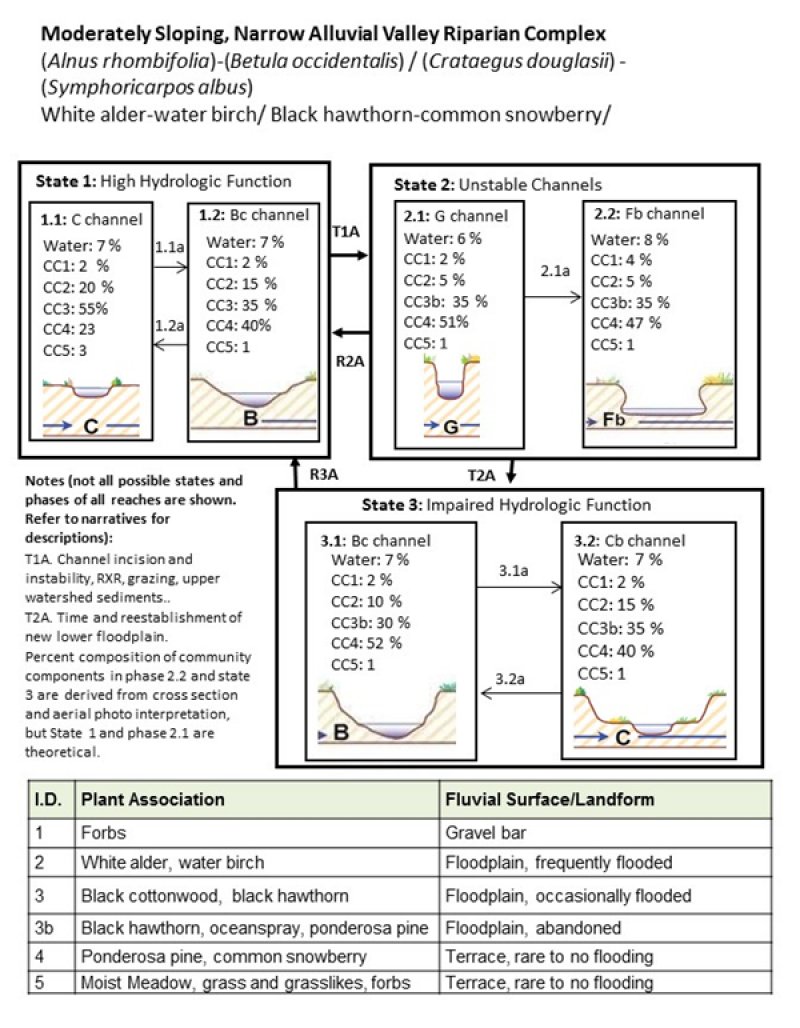 Model diagram