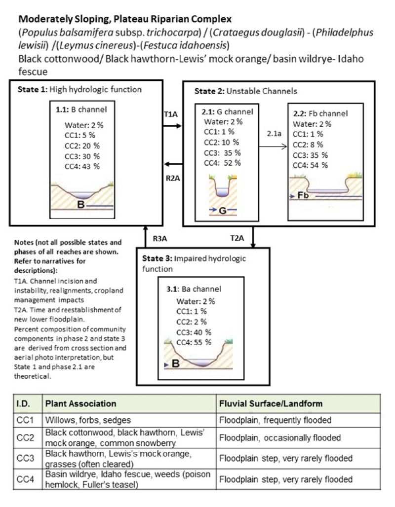 Model diagram