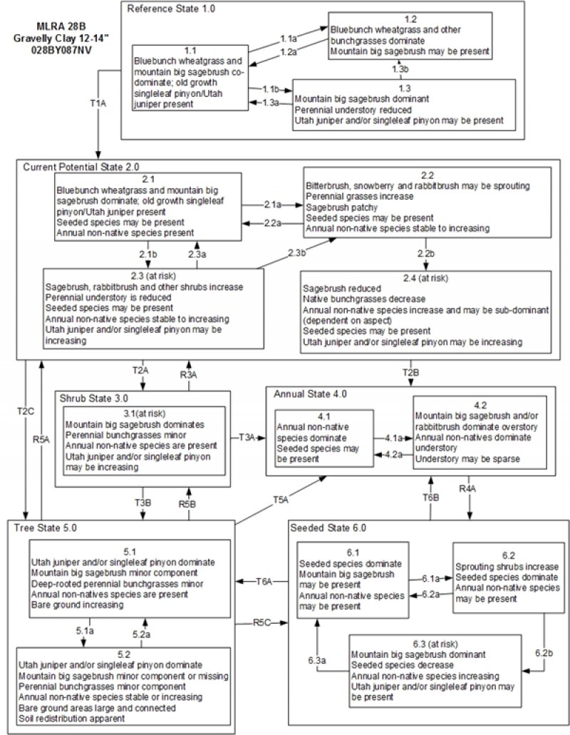 Model diagram