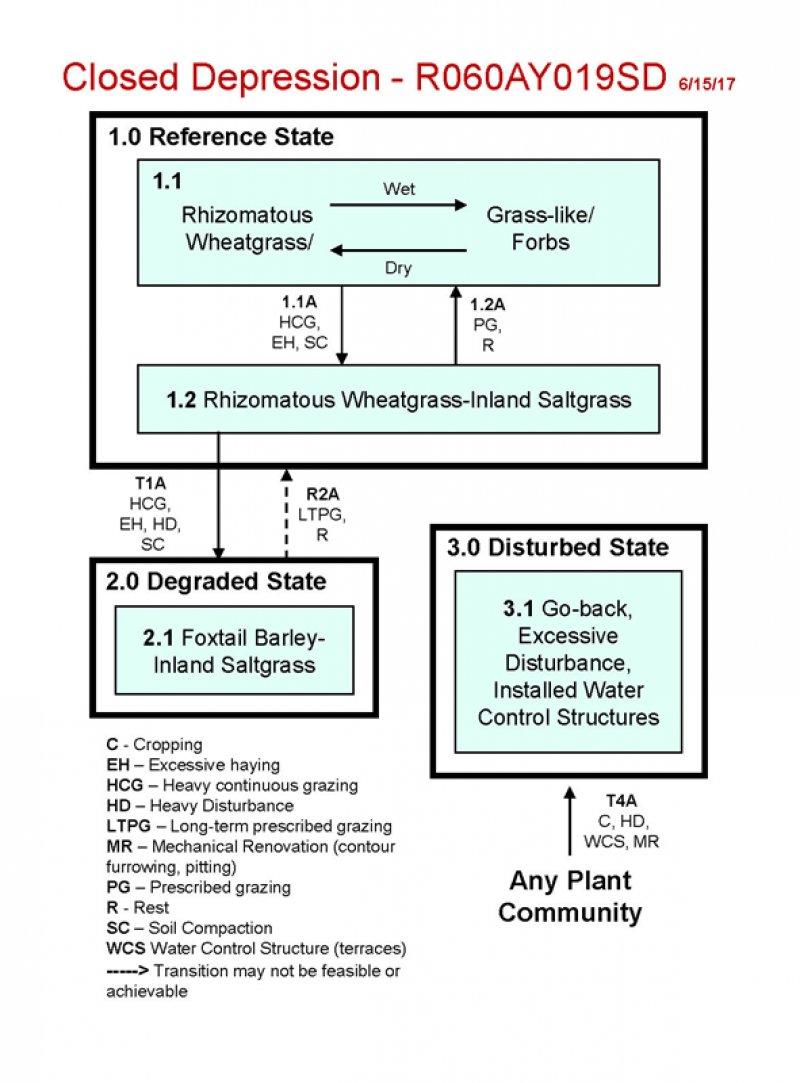 Model diagram