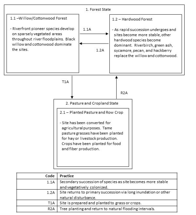 Model diagram