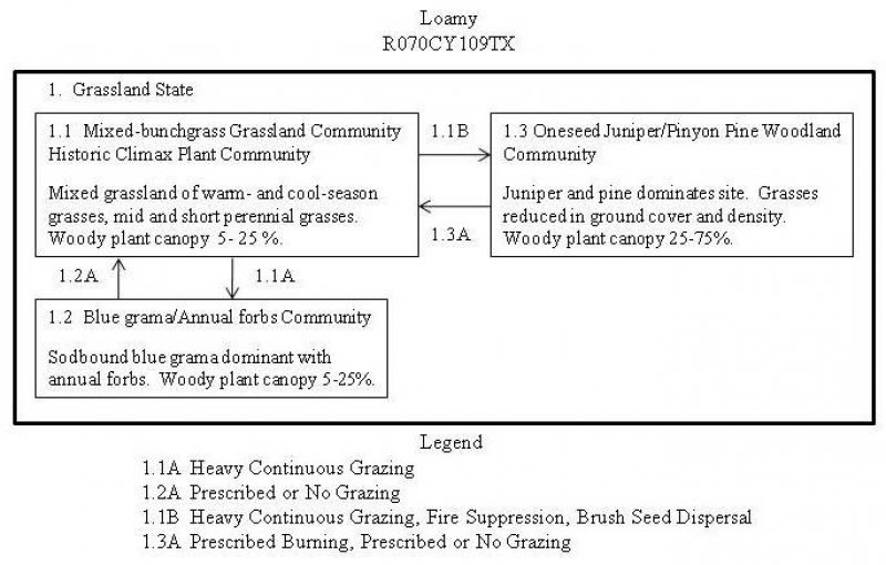 Model diagram