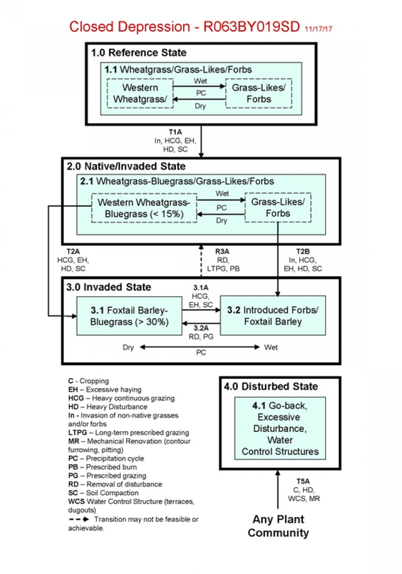 Model diagram