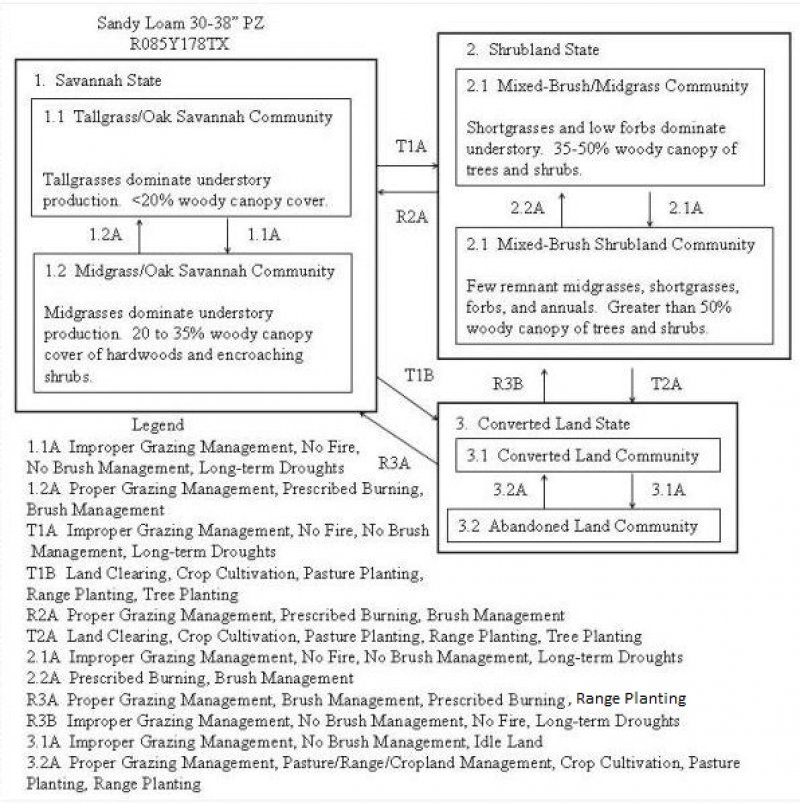 Model diagram
