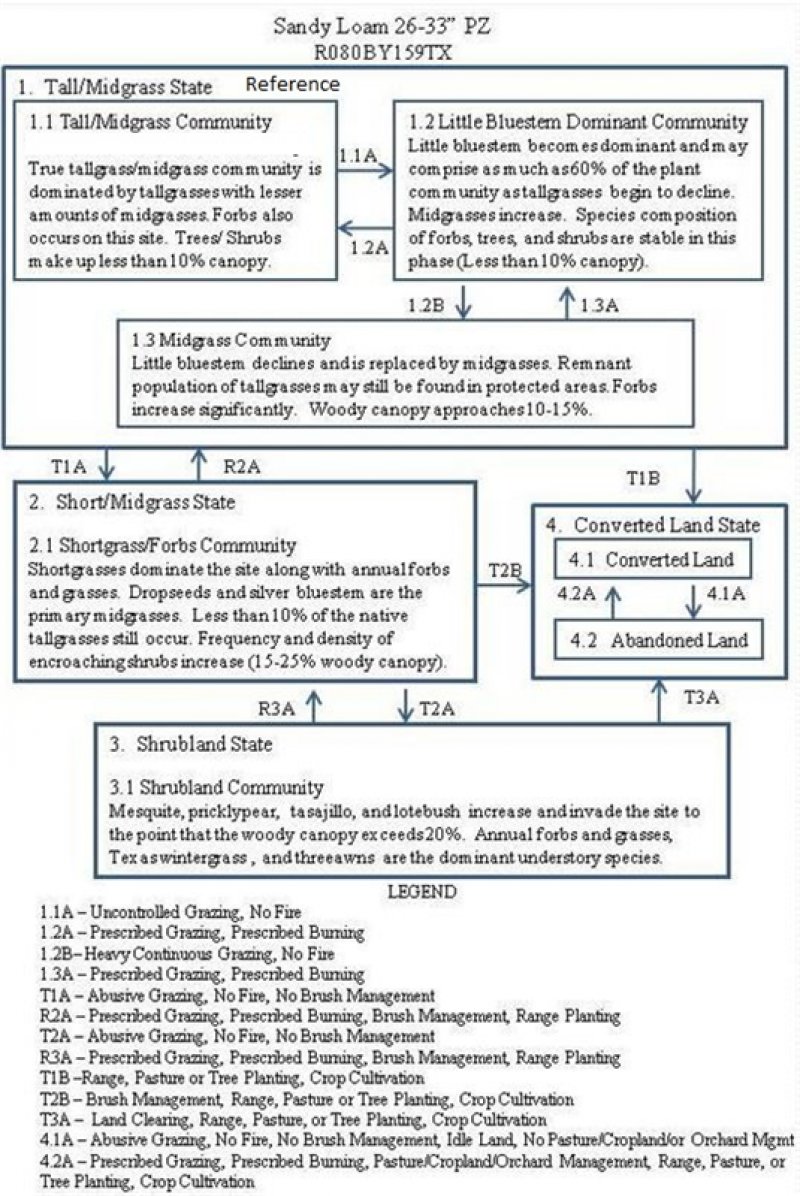Model diagram