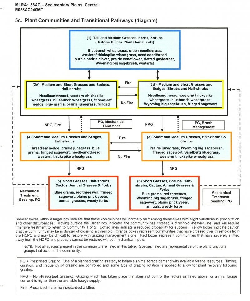Model diagram