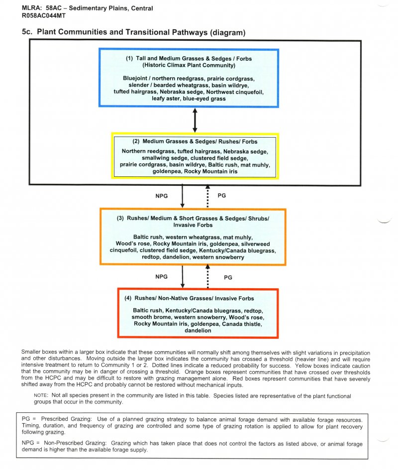 Model diagram