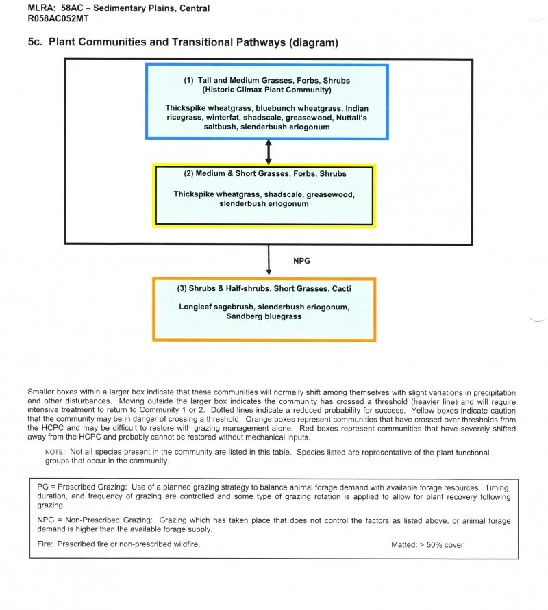 Model diagram
