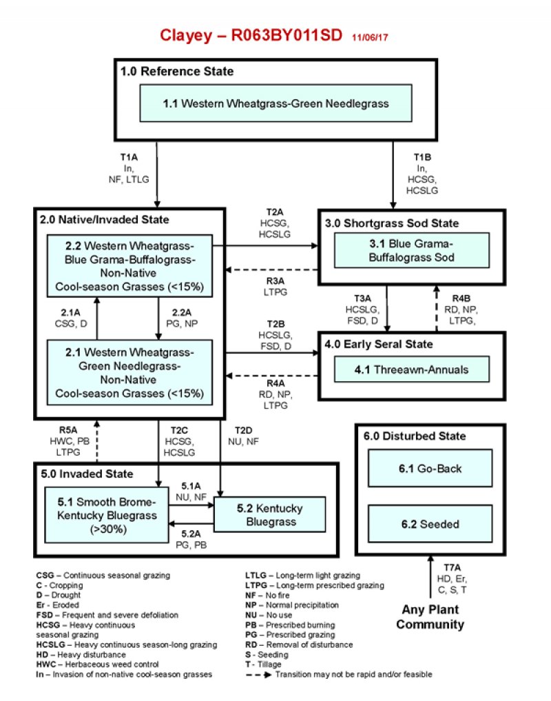 Model diagram