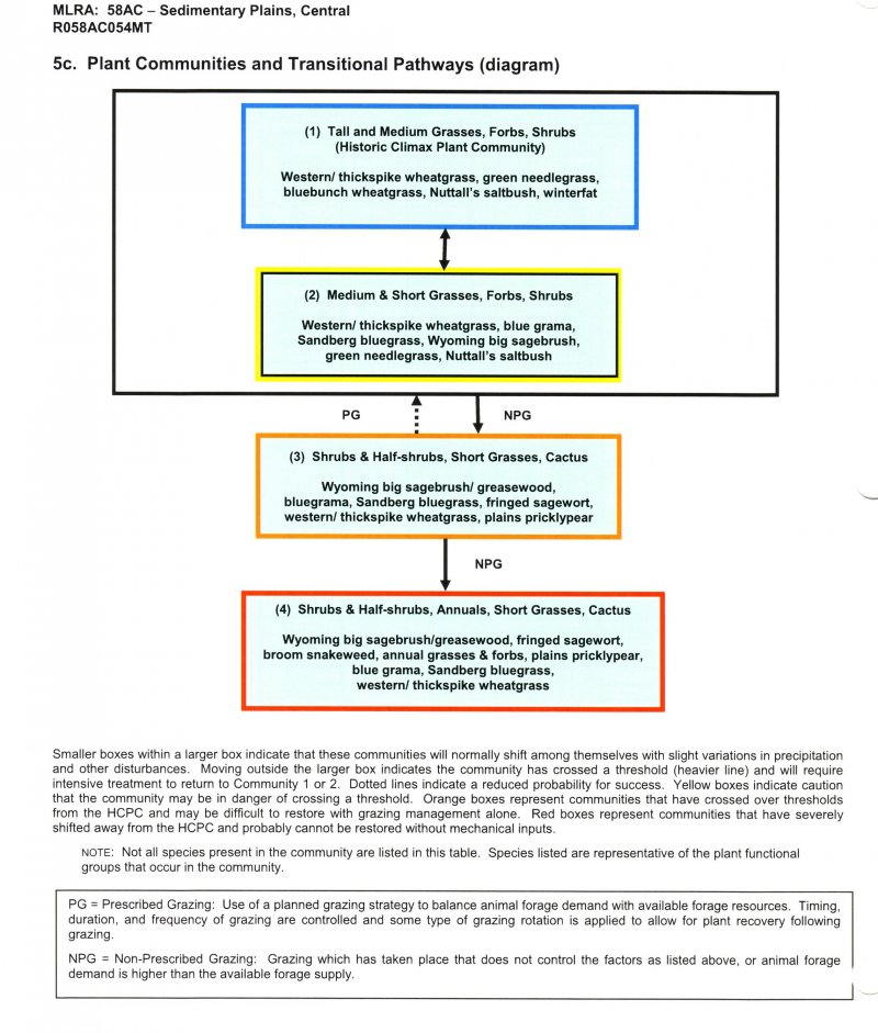 Model diagram