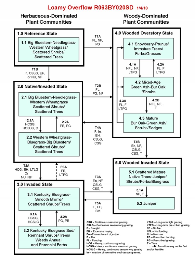 Model diagram