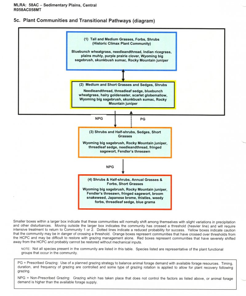 Model diagram