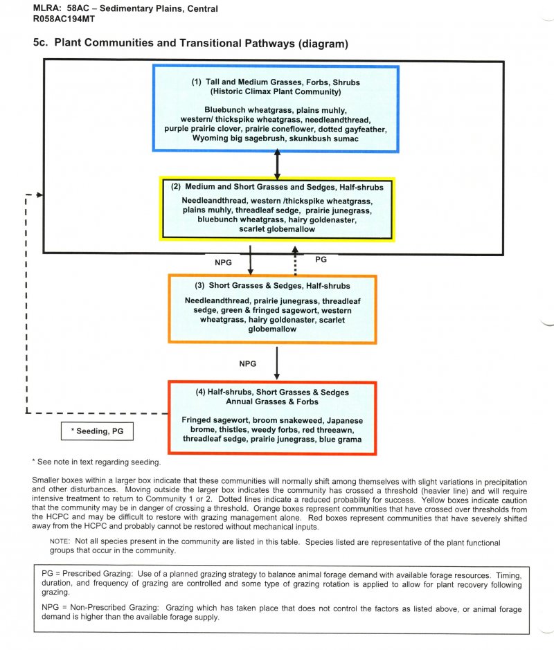 Model diagram