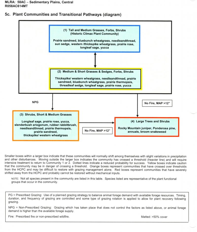 Model diagram