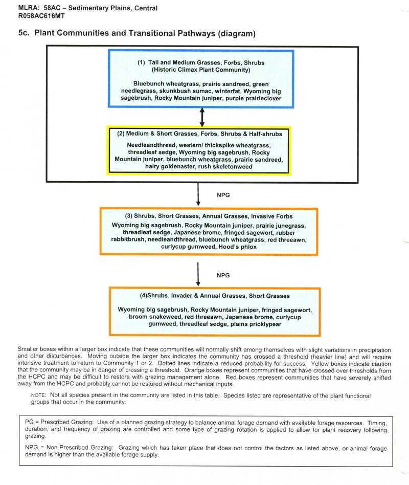 Model diagram