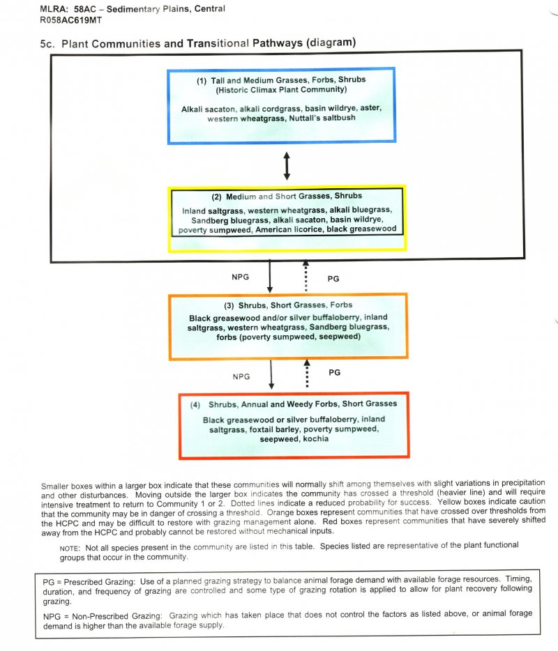 Model diagram