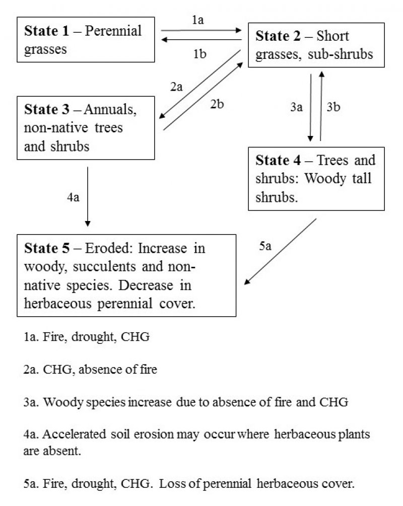 Model diagram