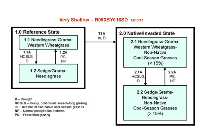 Model diagram