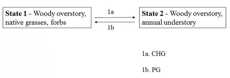 Model diagram