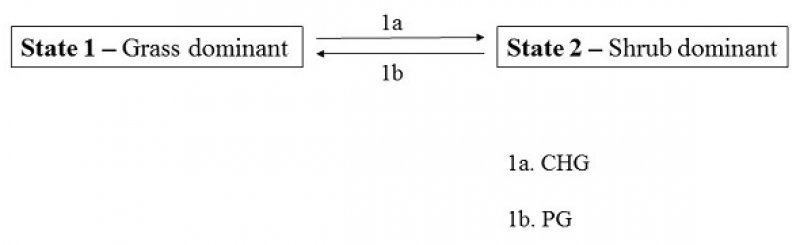 Model diagram