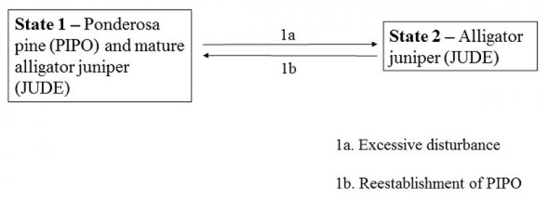 Model diagram