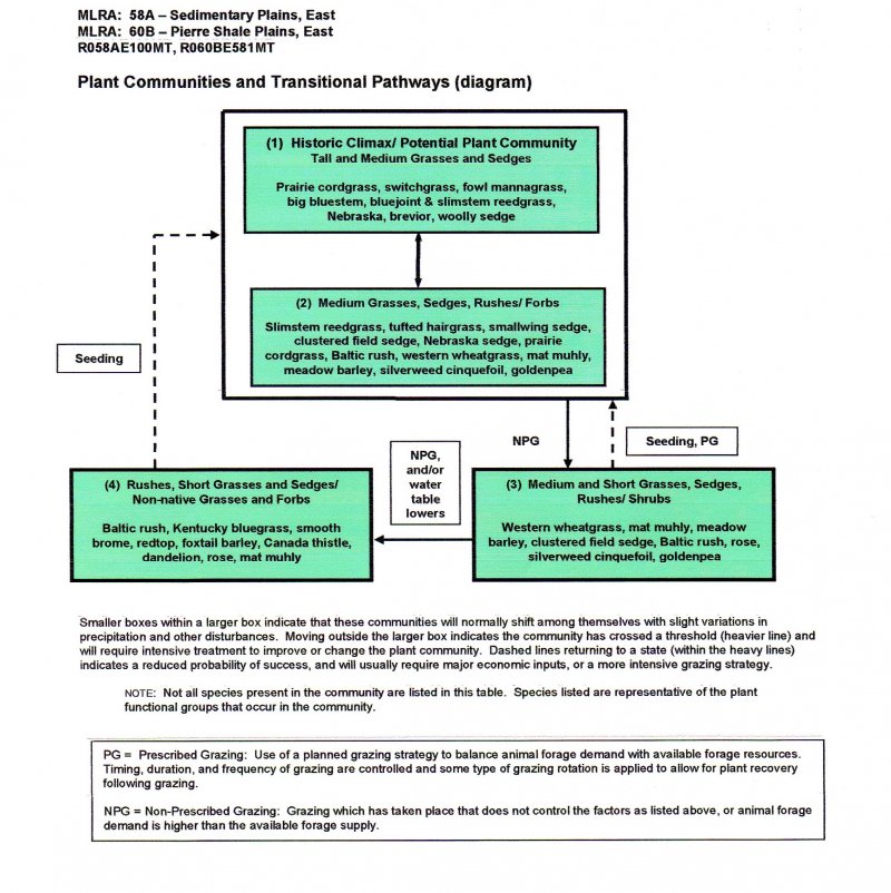Model diagram