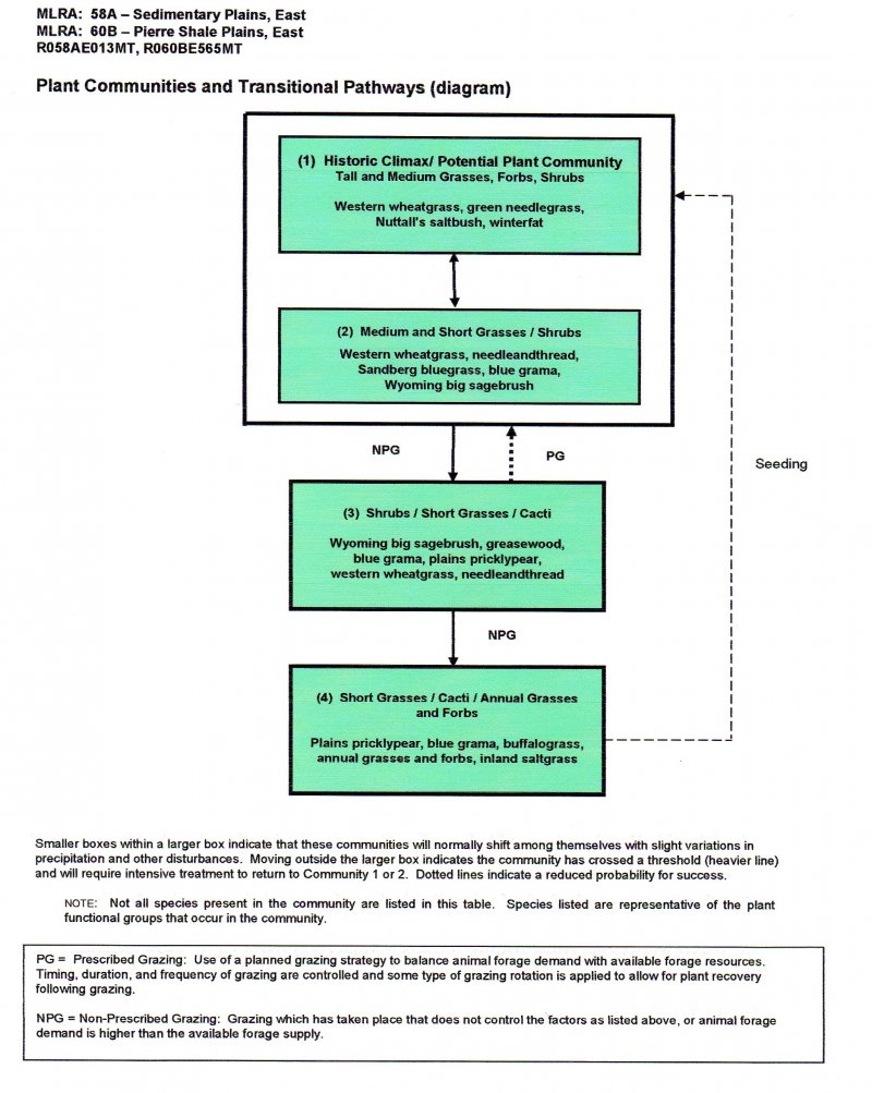 Model diagram