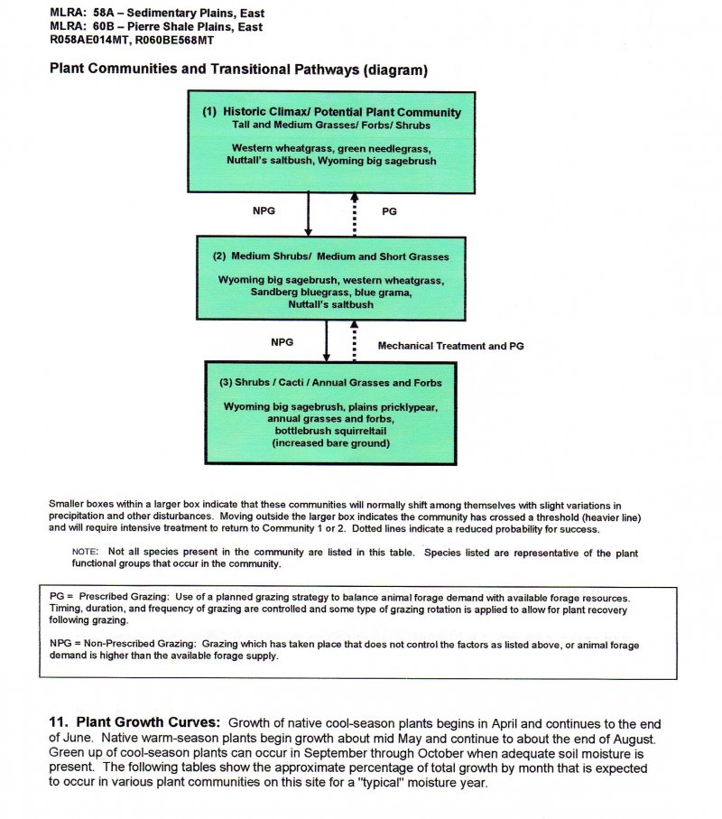 Model diagram