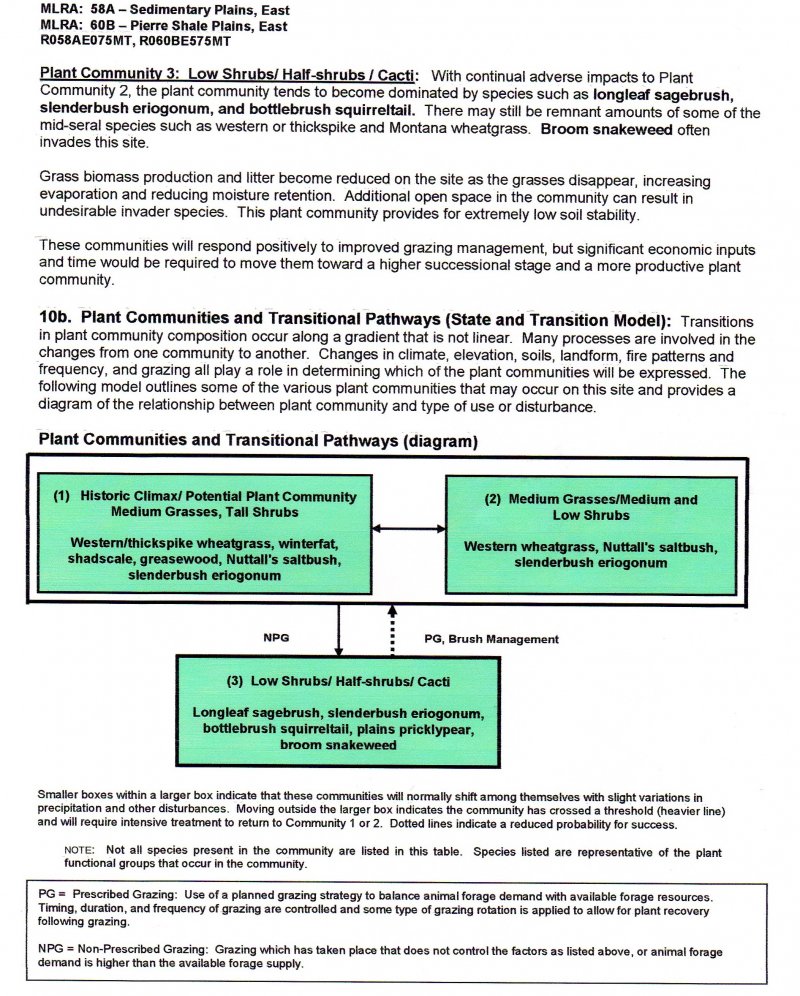 Model diagram