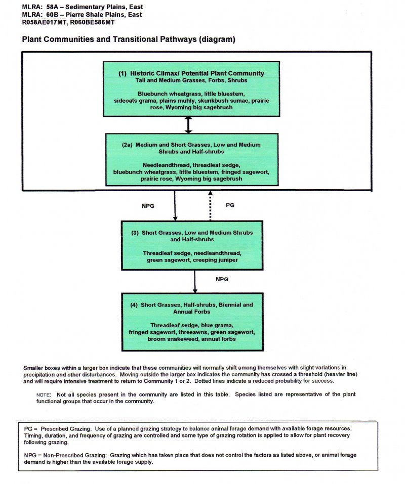 Model diagram