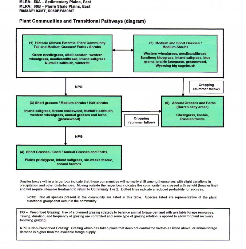 Model diagram