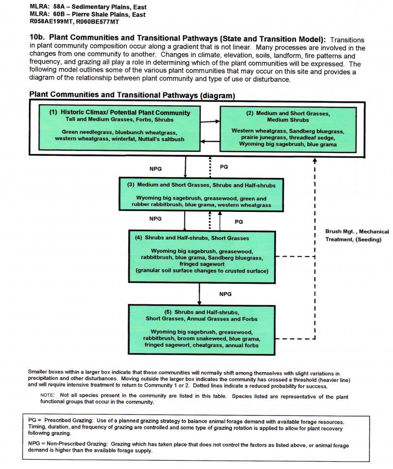 Model diagram