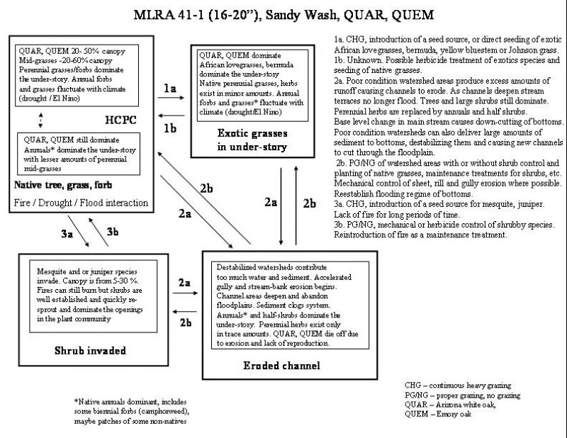Model diagram