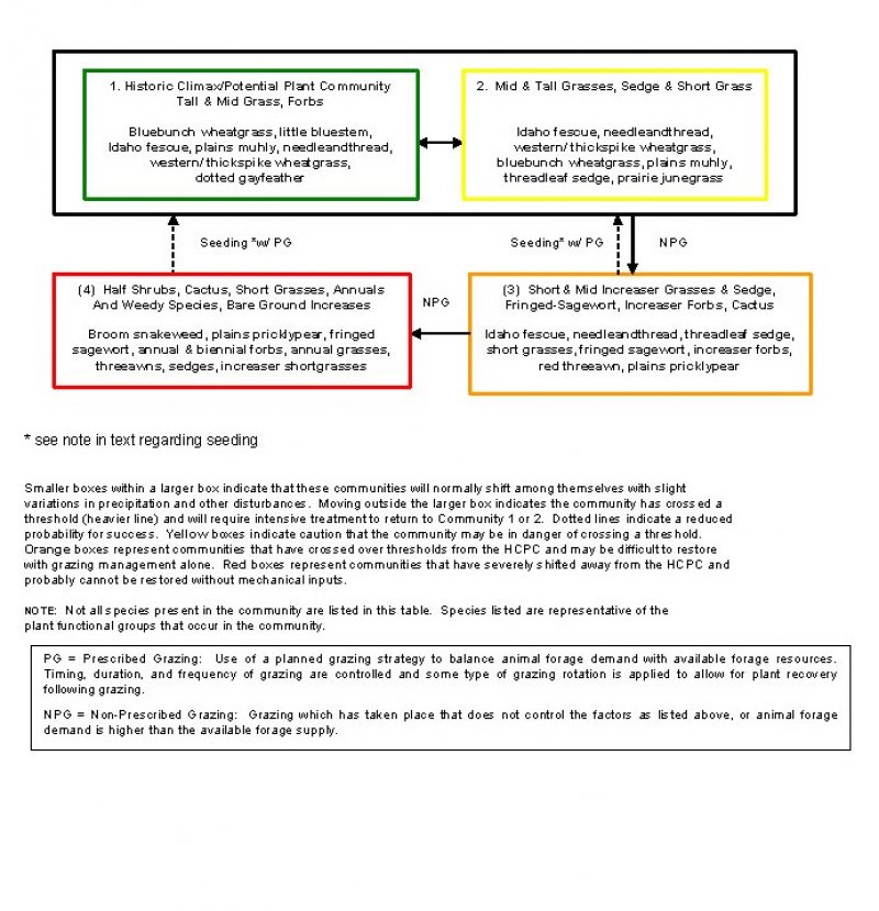 Model diagram