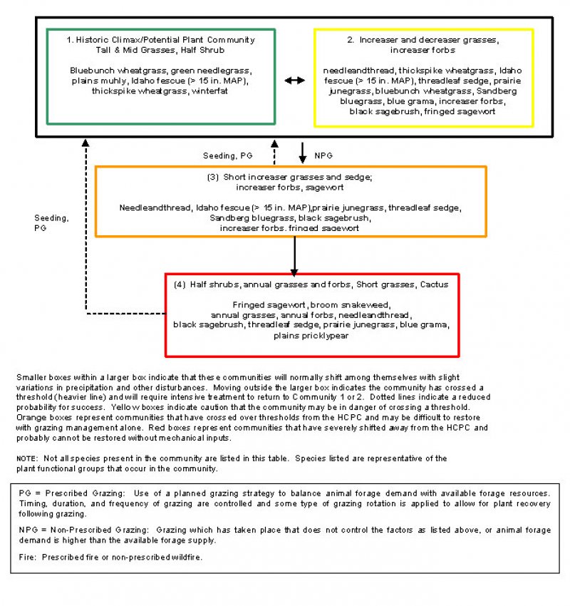 Model diagram