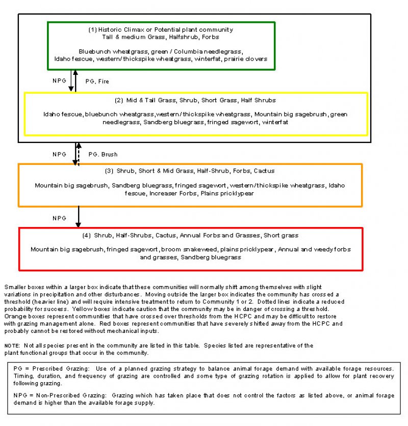 Model diagram