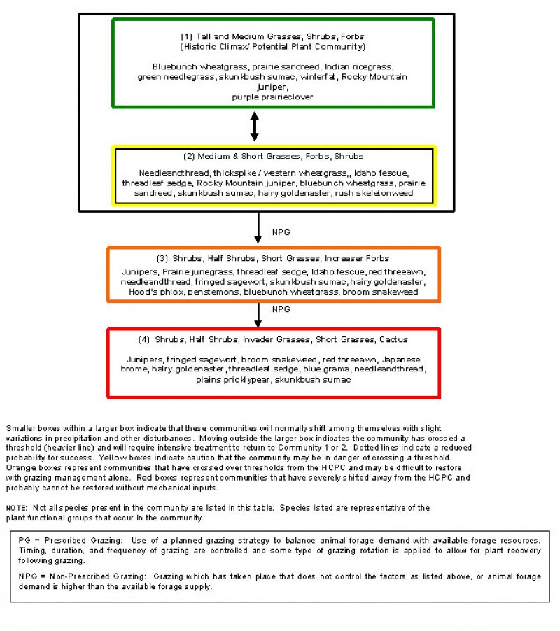 Model diagram