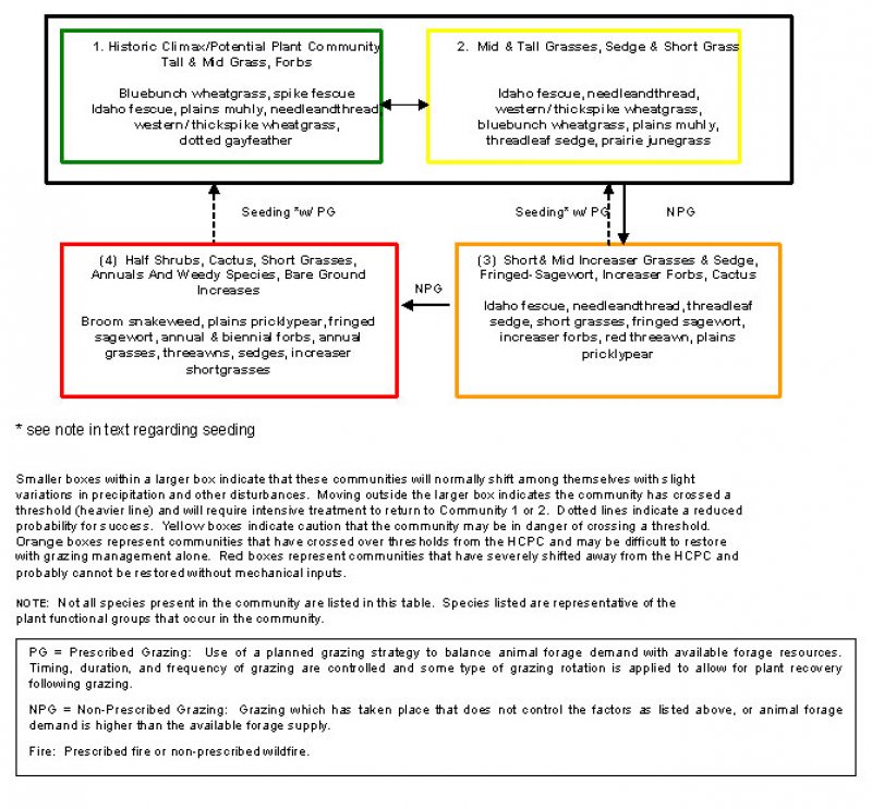 Model diagram