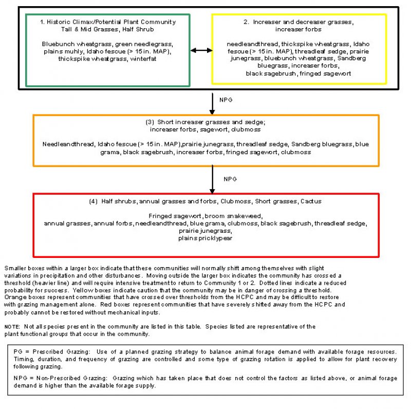 Model diagram