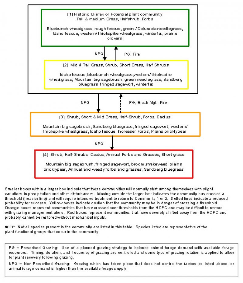 Model diagram