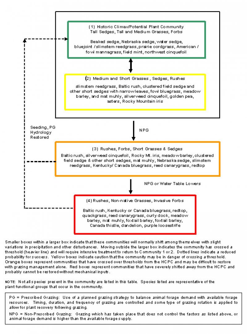 Model diagram