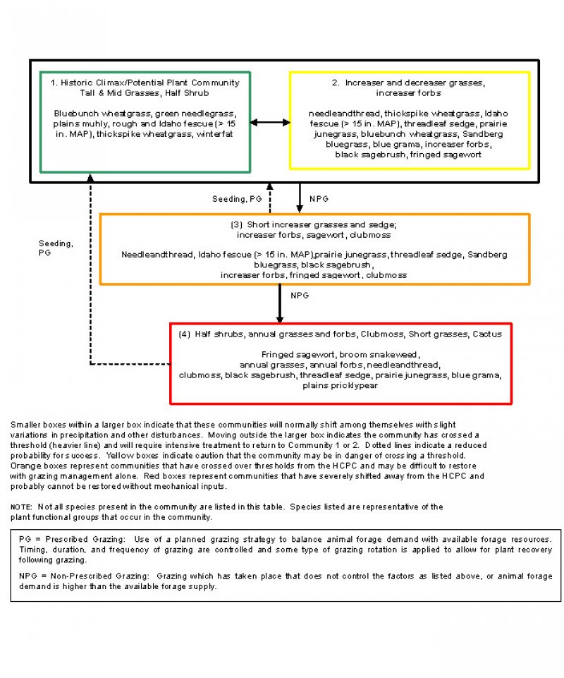 Model diagram