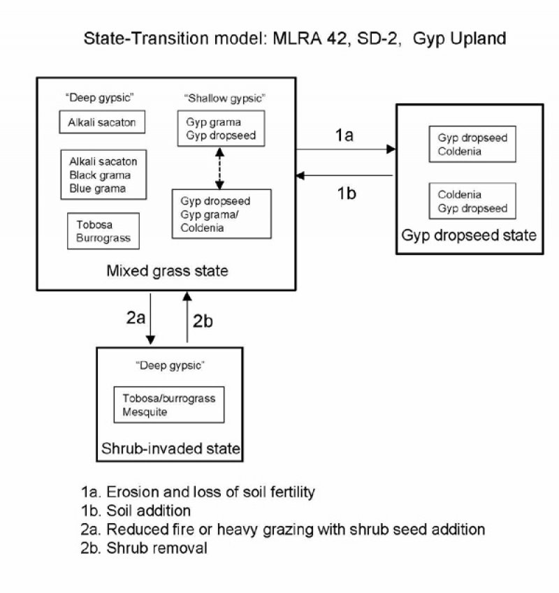 Model diagram