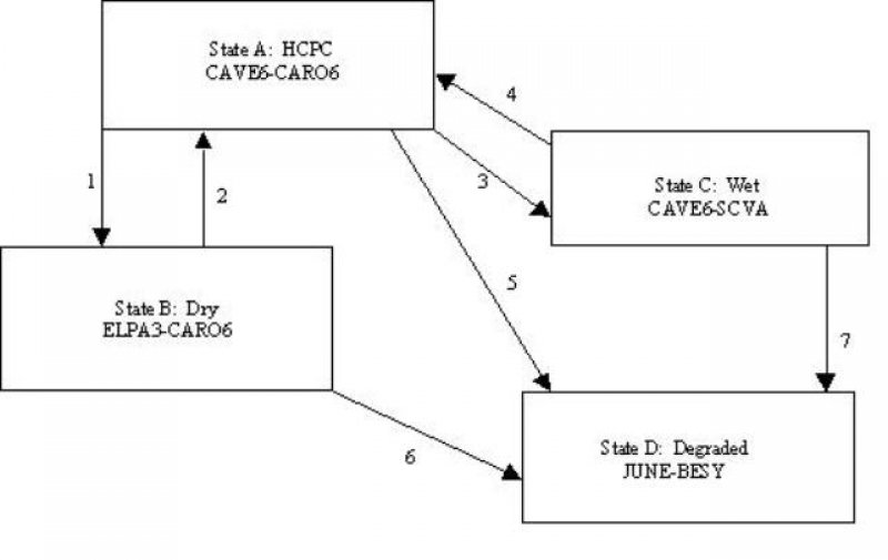 Model diagram
