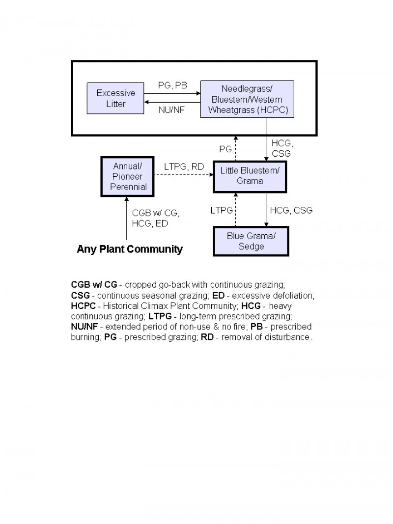 Model diagram