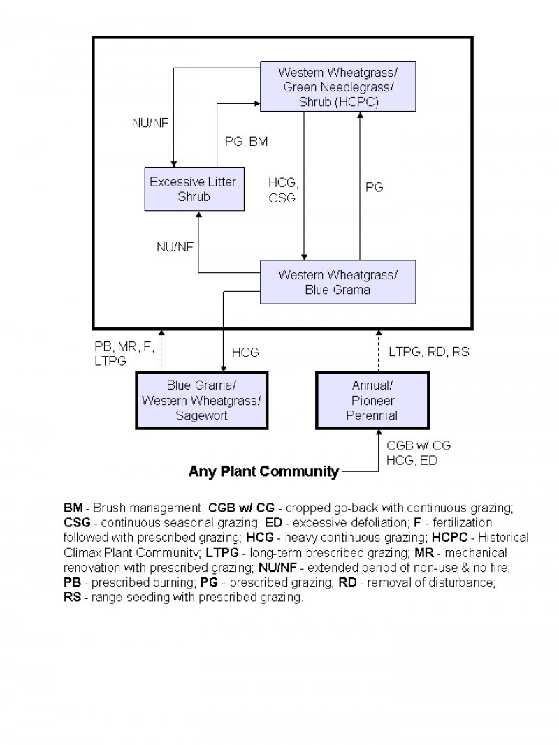 Model diagram