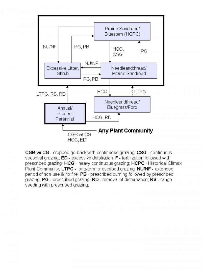 Model diagram