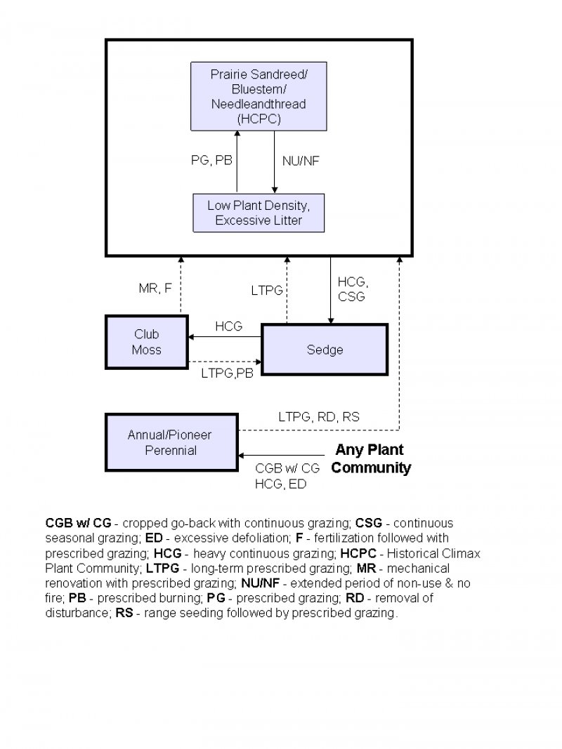 Model diagram