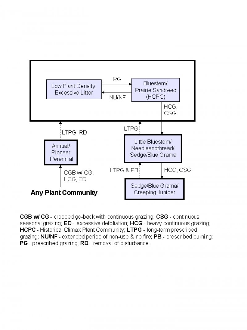 Model diagram