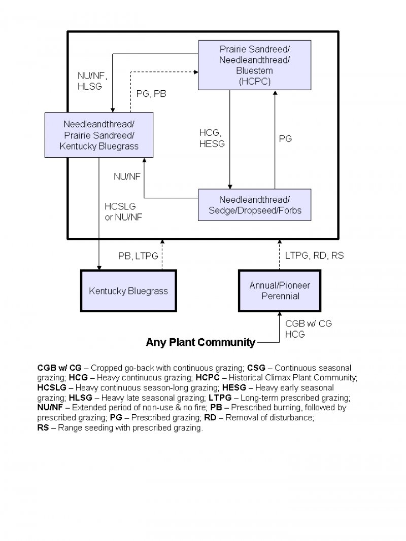 Model diagram